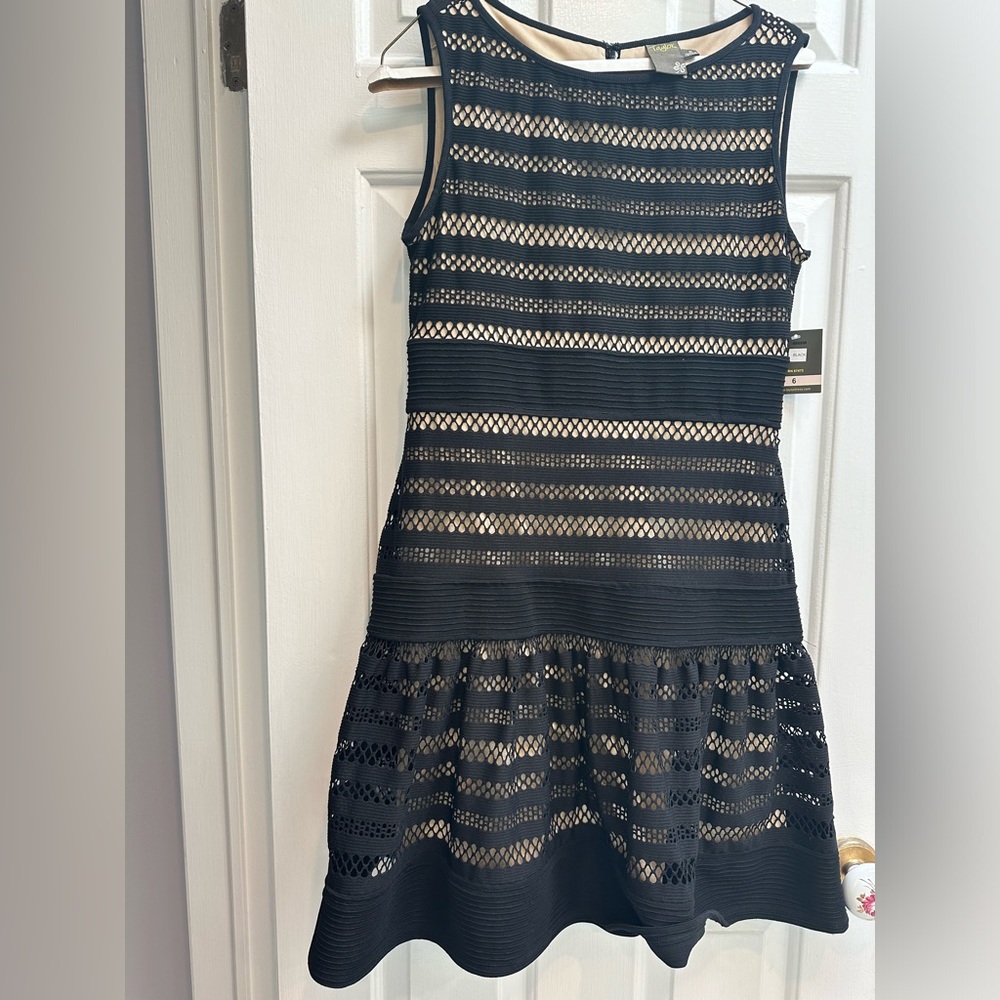 Taylor eyelet/ sleeveless lace drop waist black/ nude dress size 6 NWT